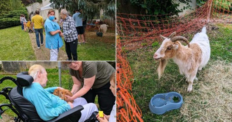 Après-midi festif pour la journée de solidarité