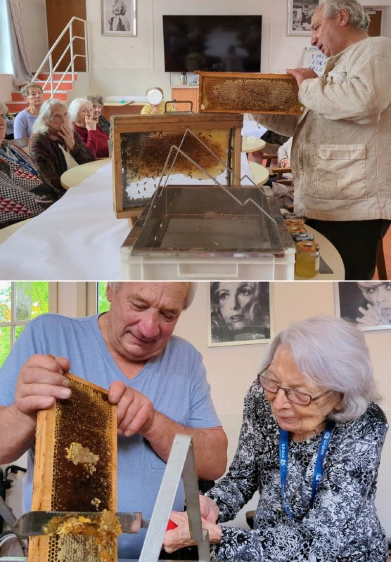 Atelier apiculture à la résidence