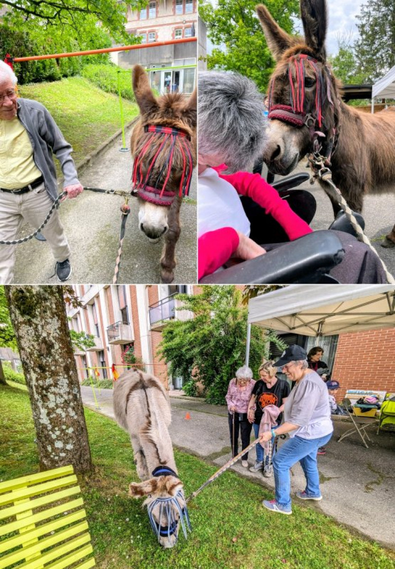 Après-midi festif pour la journée de solidarité