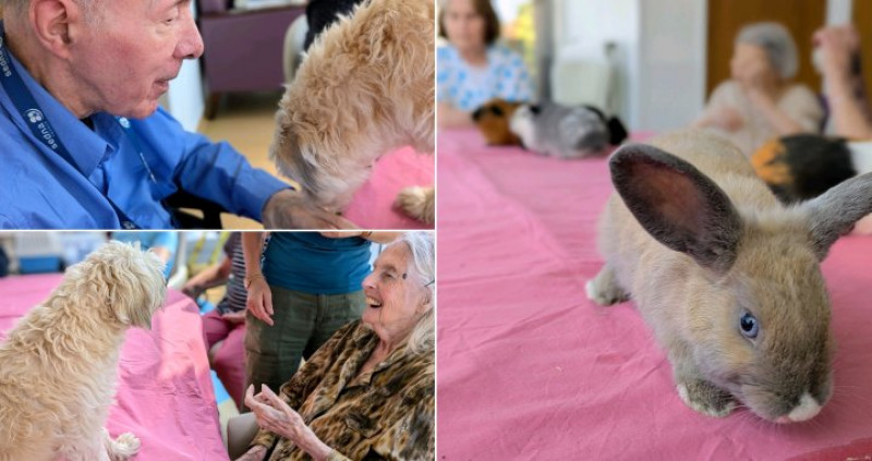 Séance de méditation animale du 26 août